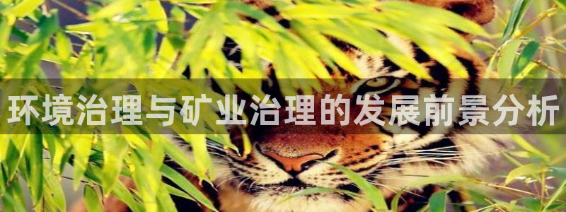 凯发k8官网备用网址：环境治理与矿业治理