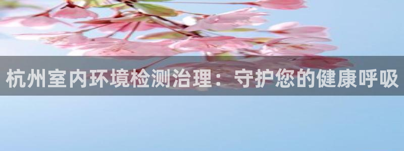 凯发k8国际首页登录|杭州室内环境检测治理：守护您的健康呼吸