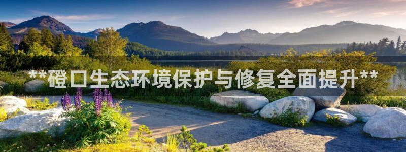 凯发k8国际首页登录|**磴口生态环境保护与修复全面提升**