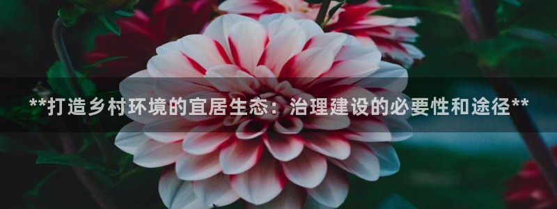 k8凯发|**打造乡村环境的宜居生态：治